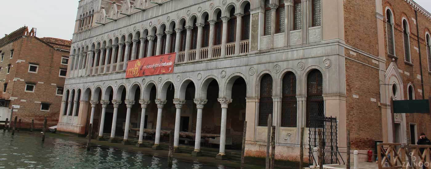 Fondaco dei Turchi a Venezia
