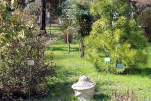 Botanical Garden of Padua, UNESCO