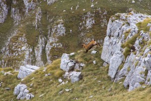 Nationalpark Abruzzen, Abruzzen