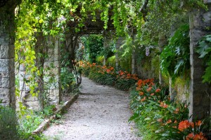 Botanischer Garten Hanbury, Ligurien