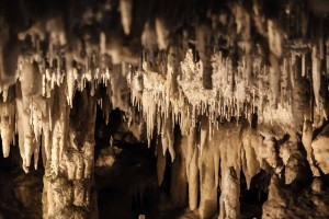 Grotte di Toirano, Ligurien