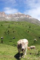 Dolomites travel guide