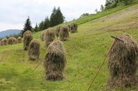 Dolomiti