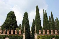 Giardino Giusti a Verona