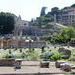 Roman Forum