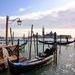 St. Mark's Square - Piazza San Marco