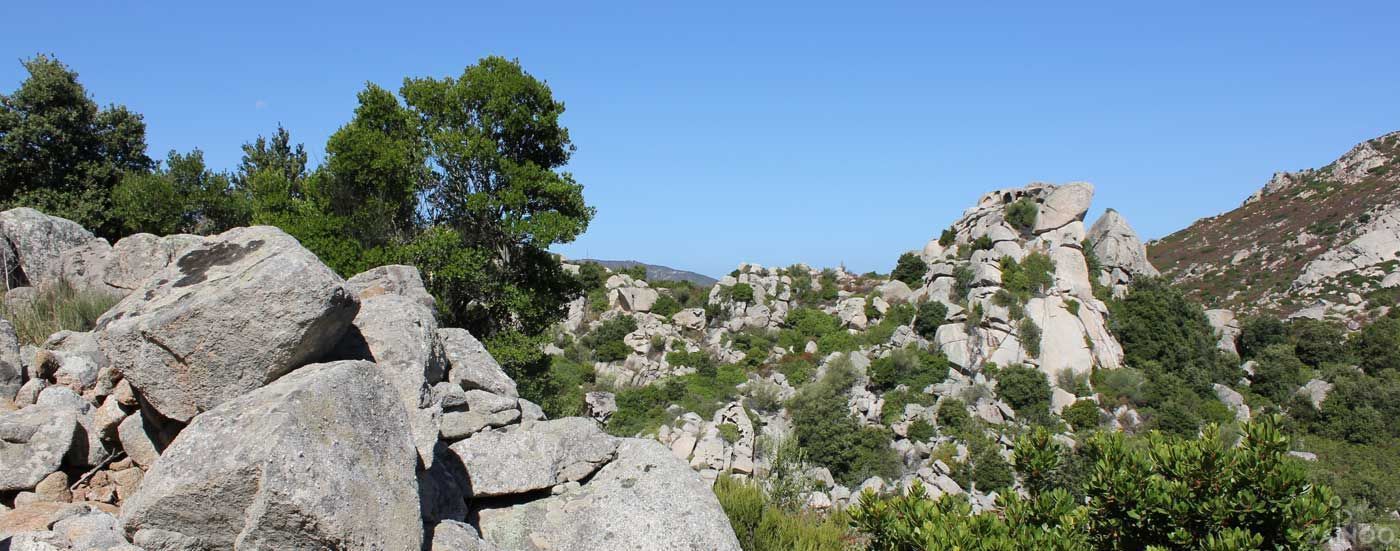 Flora & fauna in Sardegna