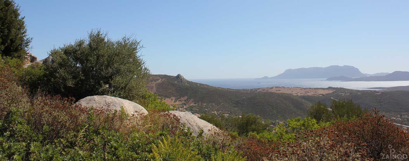 Paesaggio in Sardegna