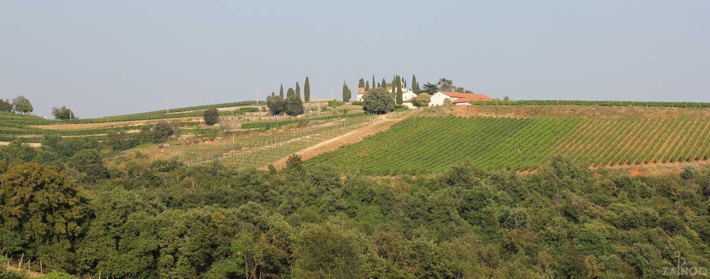 Paesaggio nel Veneto