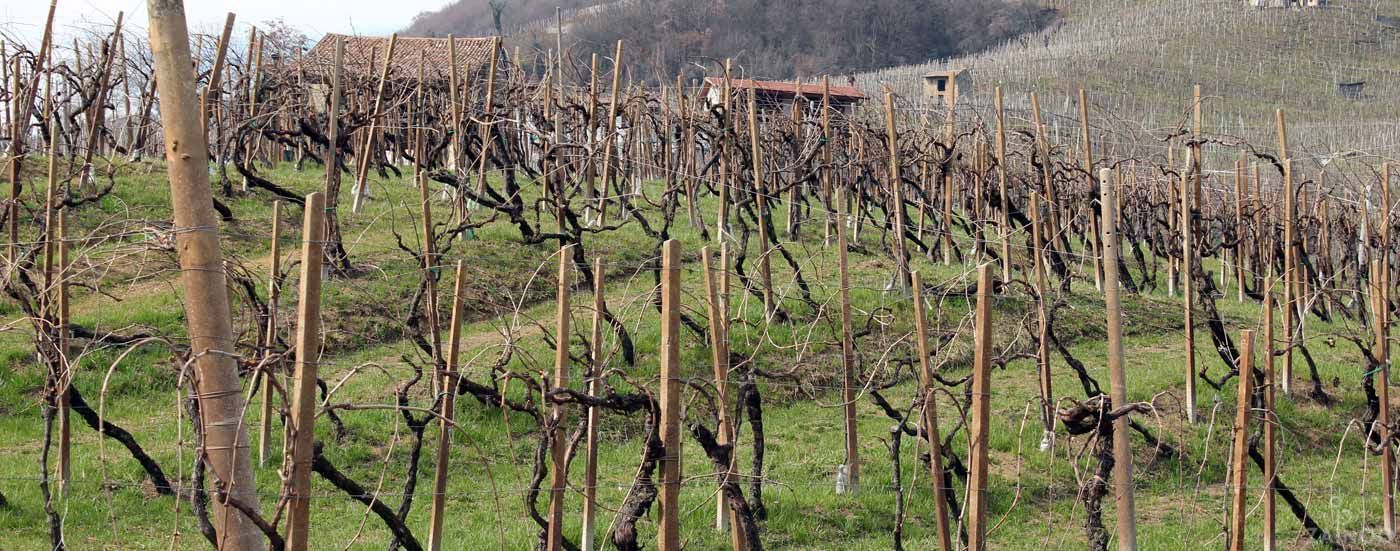 Le colline del Prosecco