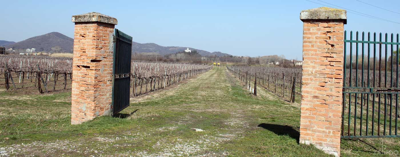 Hiking routes Euganean hills