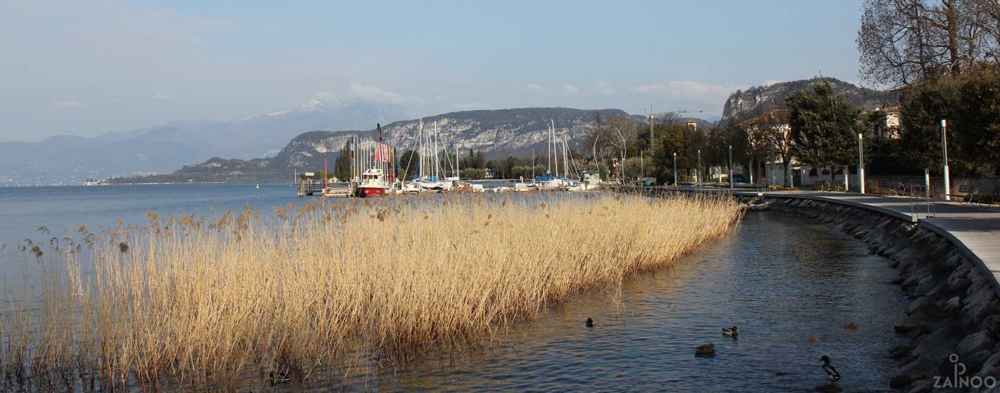 Bardolino